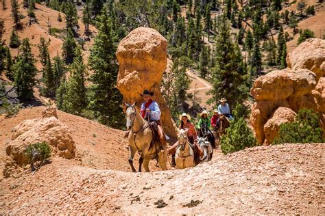 Bryce Canyon Horseback Tours | Horseback Tours of Bryce Canyon