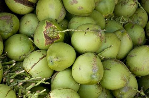 Resep Es Kelapa Muda Gula Merah, Mudah & Praktis!