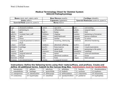 Module 12 2 Medical Terminology Sheet For Skeletal System Medical