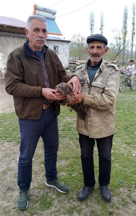 Kars ta yaralı bulunan kızıl şahin tedavi altına alındı Haberler