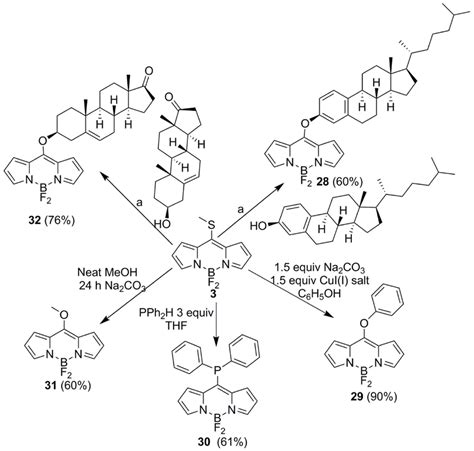 Synthesis Of Nucleophilic Substituted Bodipys Derived From