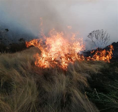 ¡no Lo Olvide Provocar Un Incendio Forestal Es Un Delito Y Se Sanciona