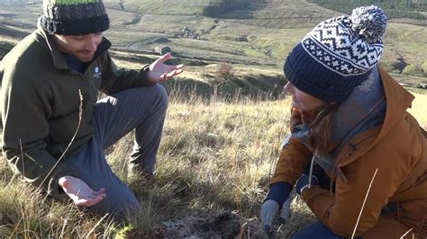 Decades-long experiment on flooding begins in the Yorkshire Dales | Sky News