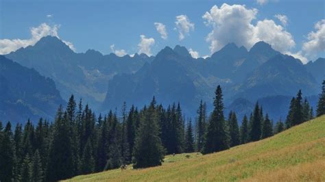 12 Best Hiking Trails in Zakopane - the Tatra Mountains | Tatra mountains, Mountains, Hiking trails