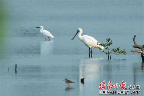 今日市县精选（11月6日）