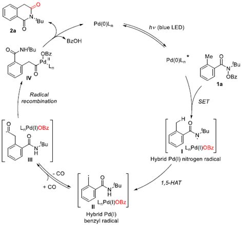 Palladium Catalyzed And Photoinduced Benzylic C H Carbonylation