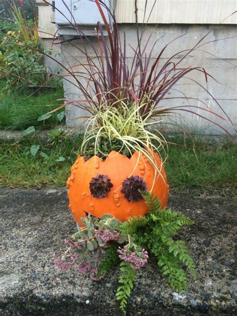 Making Pumpkin Planters Thriftyfun