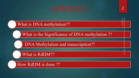 RNA Directed DNA Methylation RdDM PPT