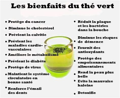 Bienfaits Du Th Vert Que Vous Devriez Conna Tre Bienfaits Du Th