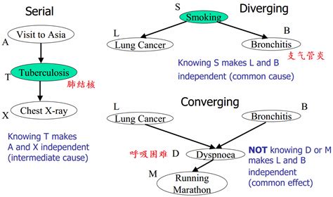 贝叶斯网络（belief Network）a Bayesian Belief Network With Bernoulli