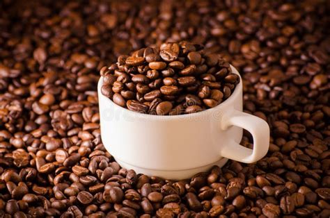 Coffee Cup And Coffee Beans Around Stock Photo Image Of Table Life