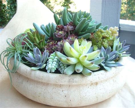 25 Best And Awesome Indoor Succulent Garden Centerpieces Ideas