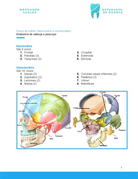 Ossos Do Cr Nio Neurocr Nio E Viscerocr Nio Ossos Do Cr Nio