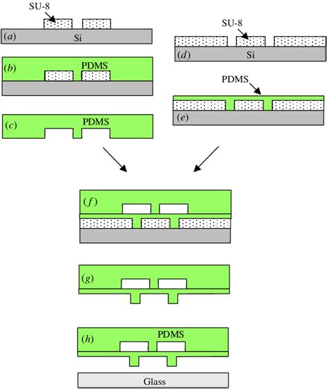 Fabrication Processes A Su 8 Mould Patterning For The Top Pdms