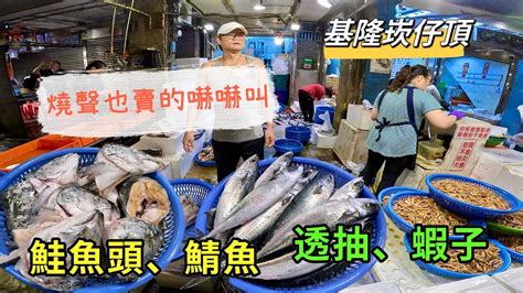 基隆崁仔頂就算燒聲也賣的嚇嚇叫鮭魚頭鯖魚透抽蝦子元源魚行 YouTube