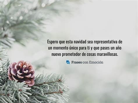 Espero Que Esta Navidad Sea Representativa Frases Con Emoci N