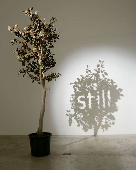 Shadow Art