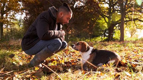 Hundetraining So Erziehen Sie Ihren Hund Ohne Leckerli