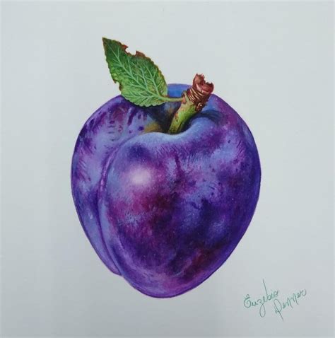 Pin By Jan Jansky On WISHY WASHY WATERCOLORS Fruit And Veg