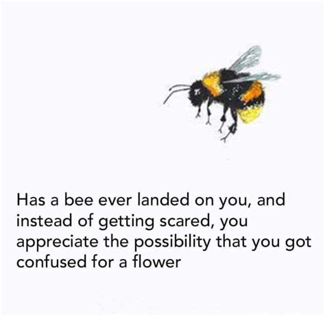 Cute Bee Quotes - ShortQuotes.cc