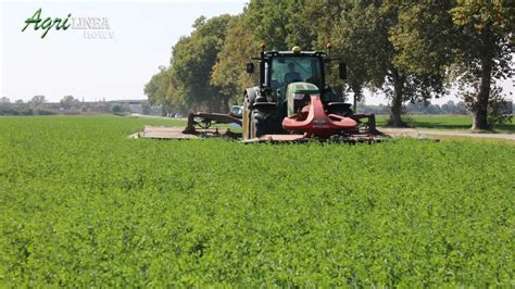 Agrilinea Tv Mirabello Fe Erba Medica Dallo Sfalcio Al Mercato