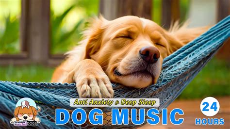 Best 24 Hour Fear Relieving Calming Music For Dogs Cure Separation