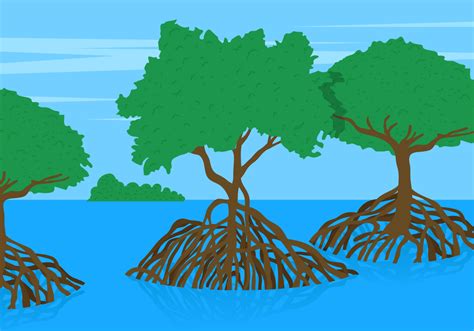 Mangrove Tree Vector Lanscape - Download Free Vector Art, Stock ...