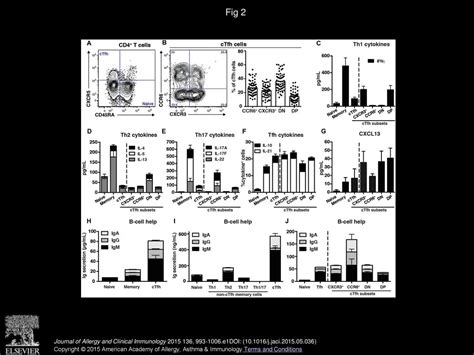 Monogenic Mutations Differentially Affect The Quantity And Quality Of T