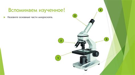 Строение светового микроскопа 5 класс биология