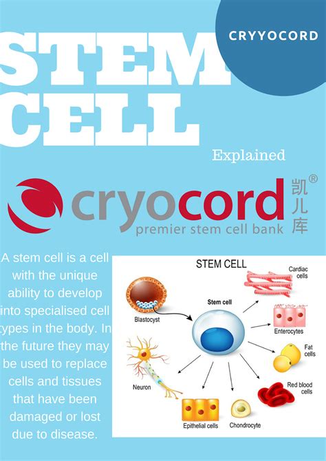 Cryocord Stem Cell Bank Malaysia On Tumblr