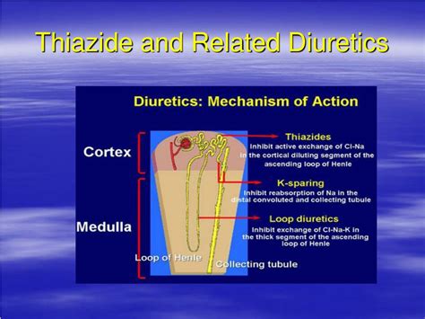 Ppt Clinical Pharmacology Of Diuretics Powerpoint Presentation Free