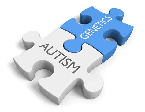 The Role Of Genetics In Autism Autism Research Institute