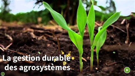 Gestion Durable Des Agrosyst Mes