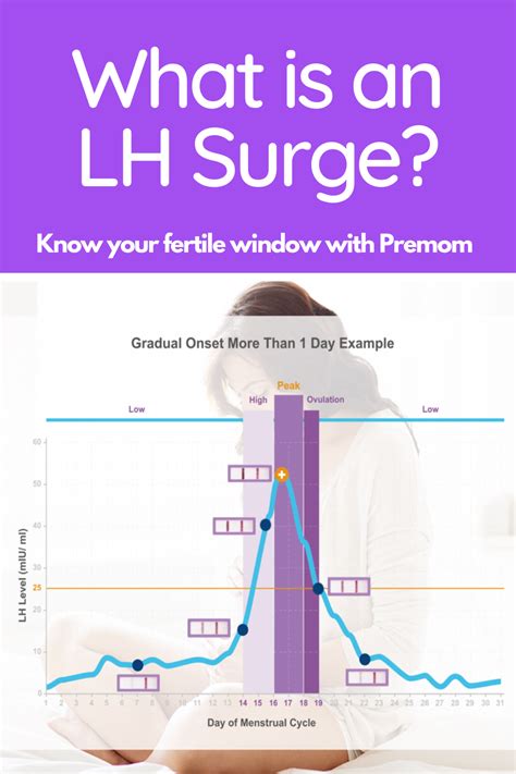 Lh Surge And Ovulation Chart