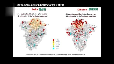 奥密克戎变异毒株致死率高吗？奥密克戎变异毒株该怎么预防奥密克变异 知识百科 川北在线