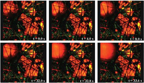 Seeing Is Believing In Situoperando Optical Microscopy For Probing