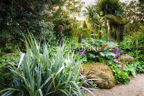 Carole Drake The Collector Earl S Garden At Arundel Castle West