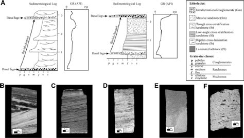 A Typical Vertical Profile And Gamma Ray Log Of The Fluvial Channel