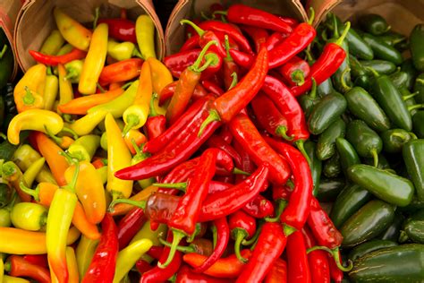 Are Peppers Fruit? Here's Why This Spicy Snack Might Be