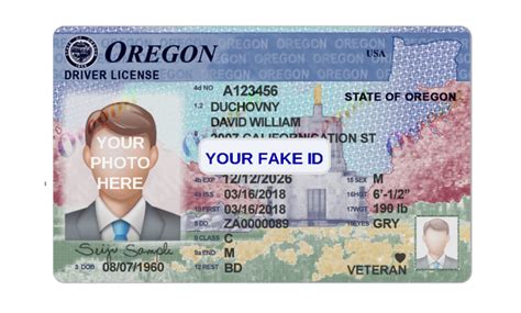 Oregon Fake Id Template Your Fake Id Templates