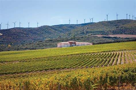 1970-2020: 50th anniversary of El Coto De Rioja - Decanter
