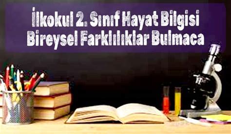 İlkokul 2 Sınıf Hayat Bilgisi Bireysel Farklılıklar Bulmaca İndir