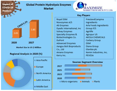 Protein Hydrolysis Enzymes Market: Global Industry Analysis and Forecast