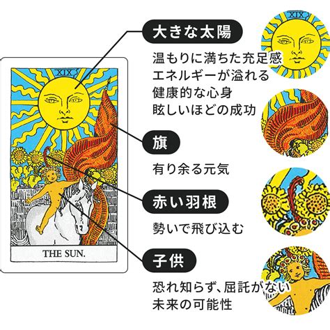 タロット占い【太陽】の意味｜正位置・逆位置・悩み別解釈もまとめてかんたん解説 Cocoloni占い館 Sun