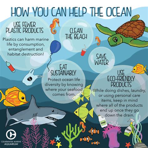 Six Ocean-Friendly Habits to Protect Marine Life | Oceans of the world ...