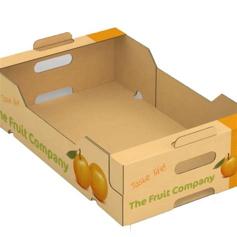 Single Wall Ply Fruit And Vegetable Packaging Boxes At Best Price In