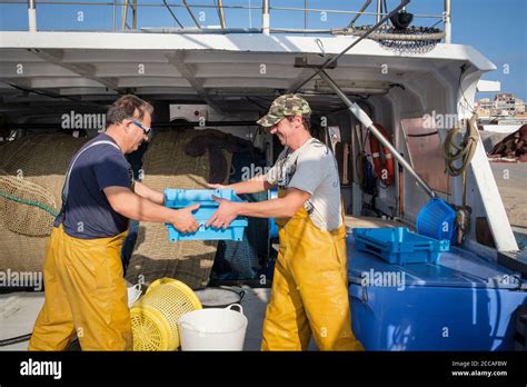 Los Pescadores Descargan Sus Capturas De Pescado Fresco En El Muelle