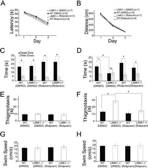 Rescue Of Spatial Ltm In Limk Mice By Enhanced Creb Activity A