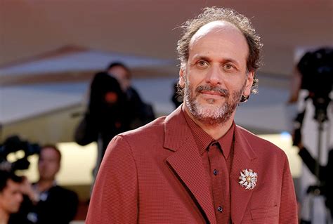 Luca Guadagnino Diriger Il Reboot Di Scarface Box Office