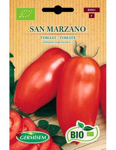 Semillas ecológicas de tomate San Marzano H0000922 1 50